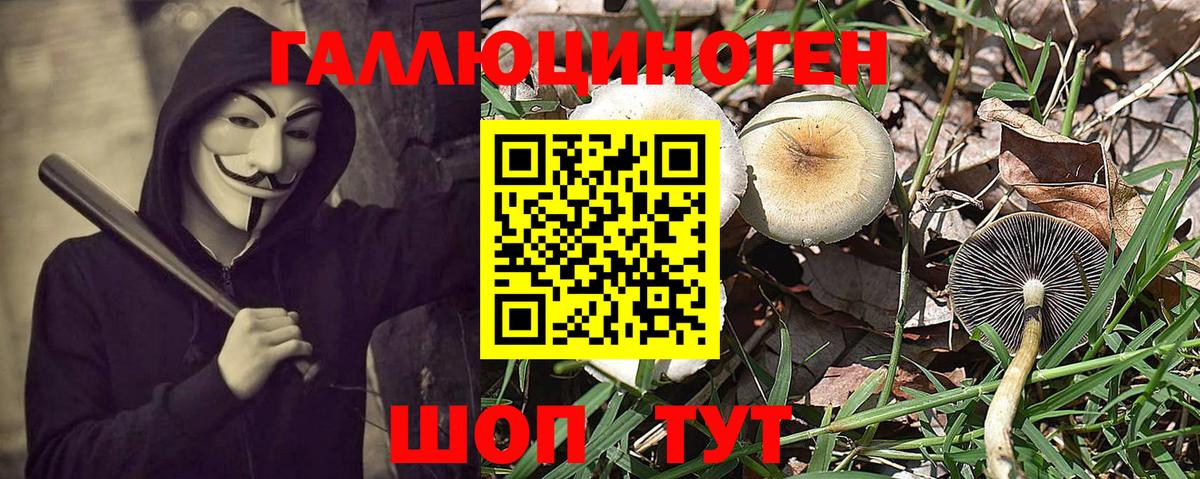 цена   Галлюциногенные грибы GOLDEN TEACHER  Вход с VPN  Тайшет 