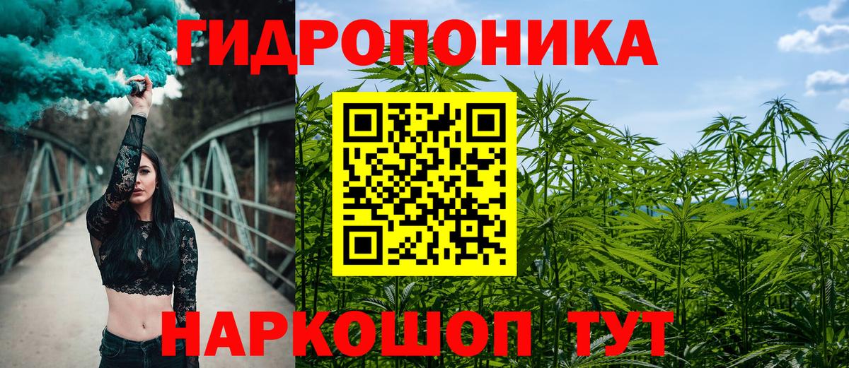 Каннабис ГИДРОПОН  Канабис семена  Тайшет  МАРИХУАНА SATIVA & INDICA  Вход с VPN  Конопля Bruce Banner 